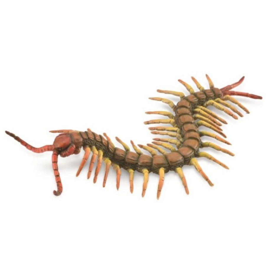 Wild Figurines Collecta | Collecta Centipede - Autumer