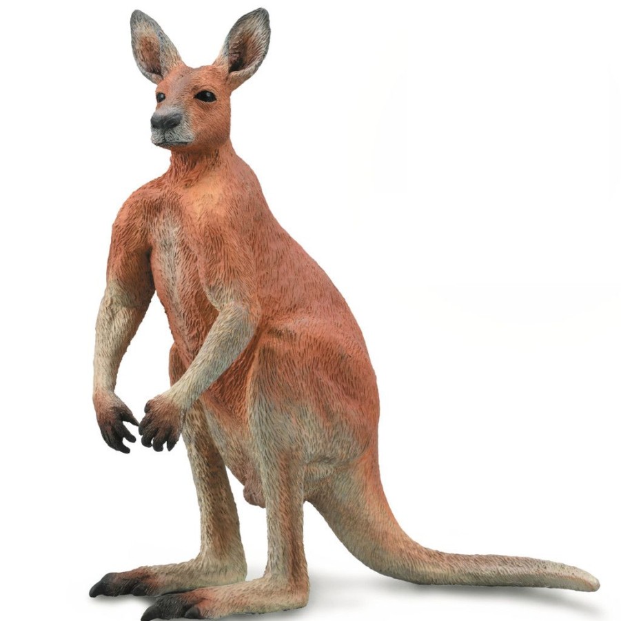 Australian Figurines Collecta | Collecta Kangaroo Male - Autumer